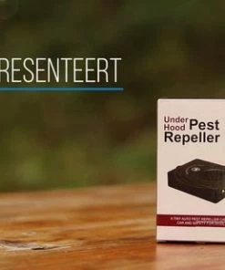 Brodit Shop -Brodit Shop 550x309 2